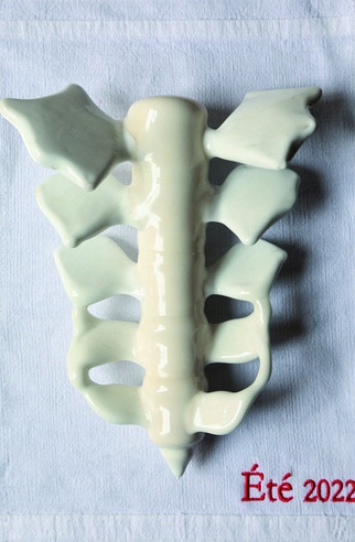 Fondation espace écureuil pour l'art contemporain