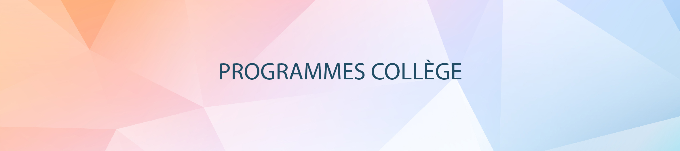 bandeau programmes college