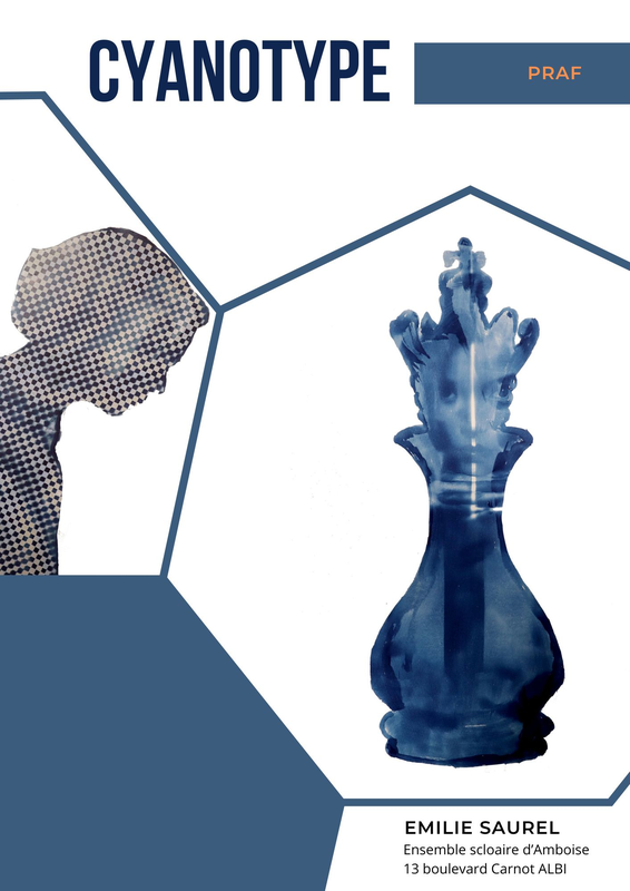 Cyanotype Saurel