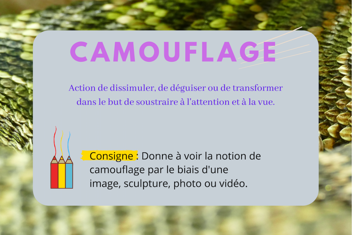 challenge_camouflage_3deg.png