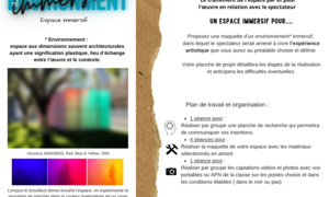 Environment immersion fiche cours