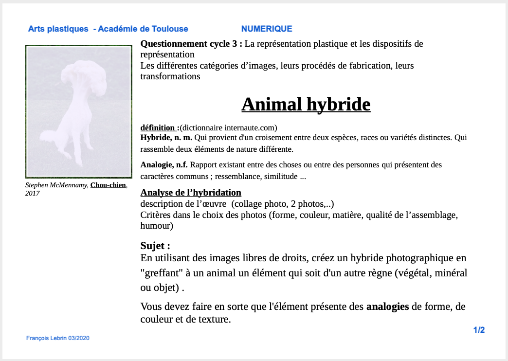 Animal hybride Piste a