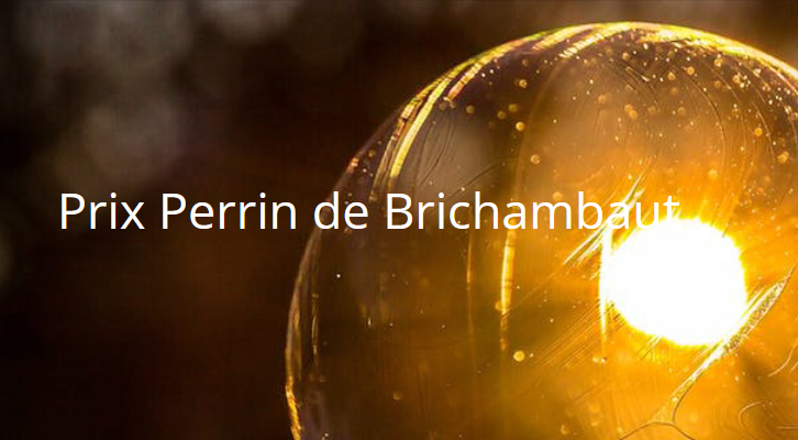 Prix Perrin de Brichambaut