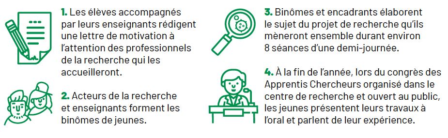 Les étapes de l'arbre des connaissances