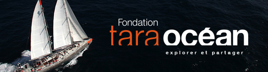 Tara Océan