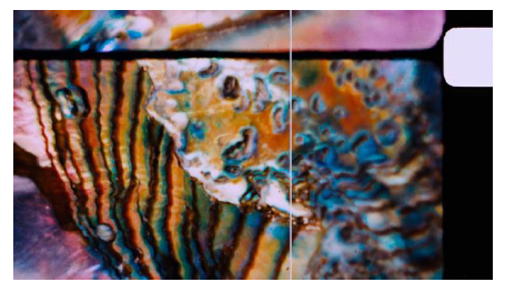 Rencontres Internationales Traverse