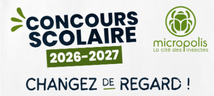 Concours scolaire micropolis