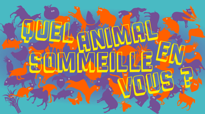 Muséum concours nouvelles