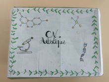 CV ARTISTIQUES 1