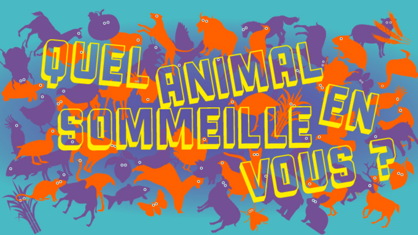 Muséum concours nouvelles