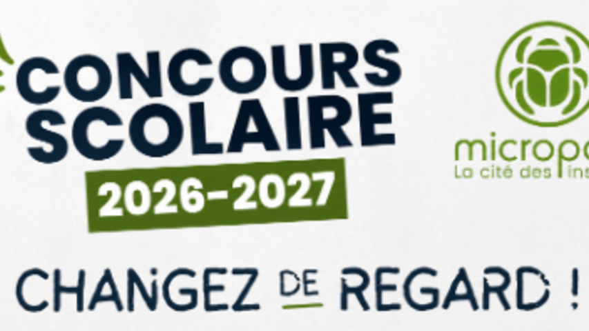 Concours scolaire micropolis