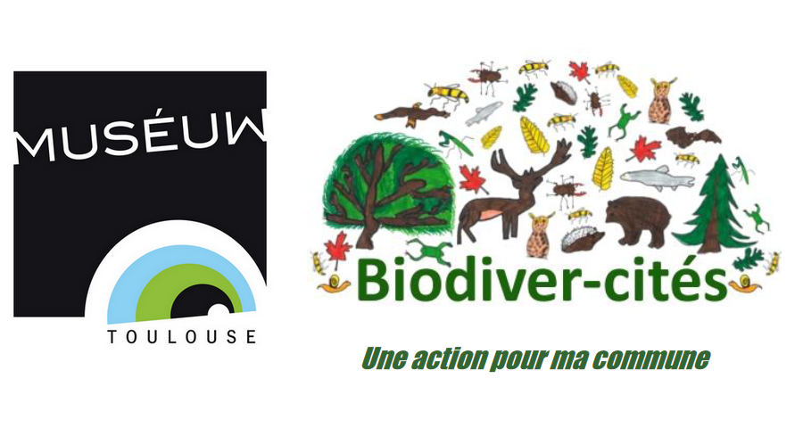 Muséum - Biodiver-cités