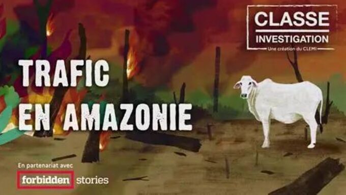 Affiche du jeu classe investigation intitulé "trafic en Amazonie", représentant une vache maigre devant une forêt calcinée
