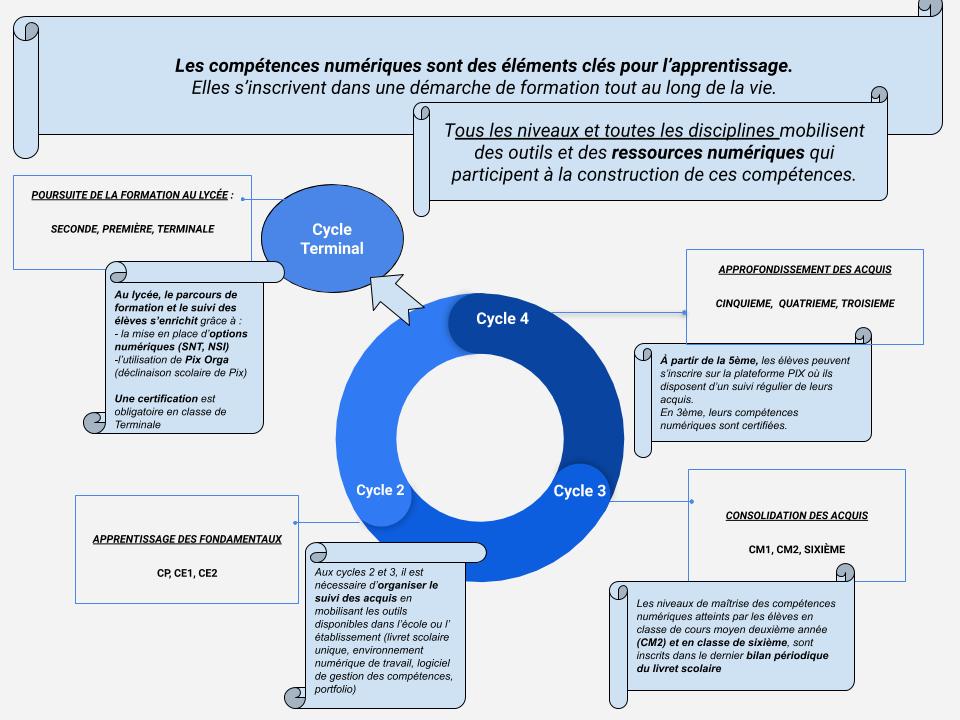 cycle_et_competences_numeriques_infographie.jpg