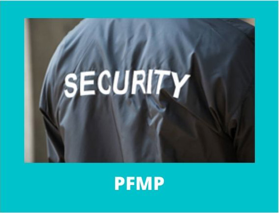 BCP AGENT SECURITE PFMP