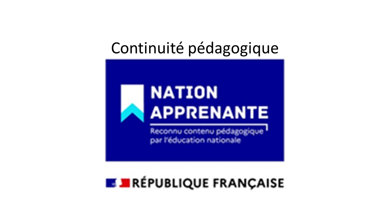 illustration_nation_apprenante.png