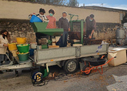 élèves récoltant les pommes