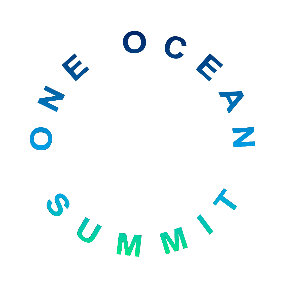 logo one ocean summit