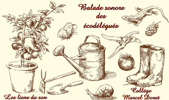 image podcast balade sonore