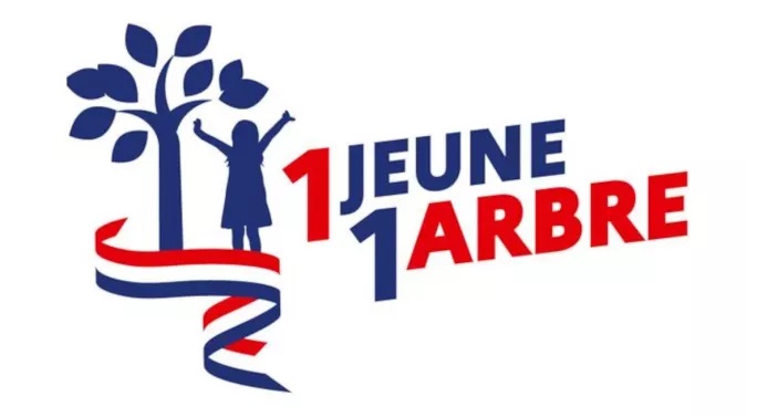 1 jeune 1 arbre