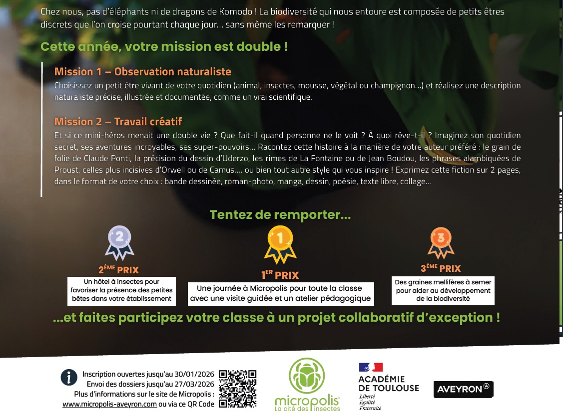 Affiche concours micropolis 2025