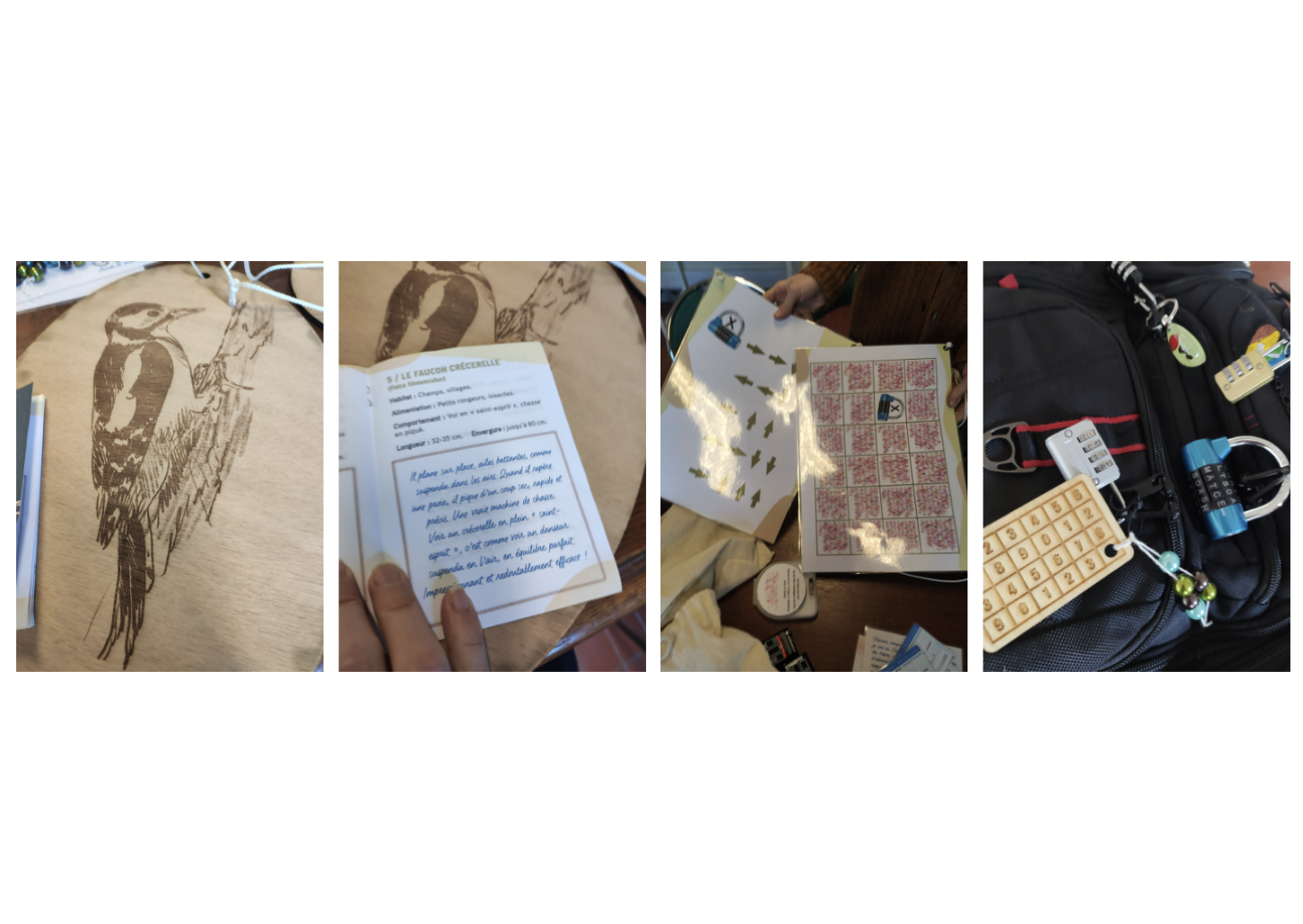 Illustration MNHN sciences participatives