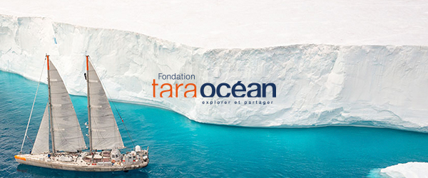 fondation tara ocean