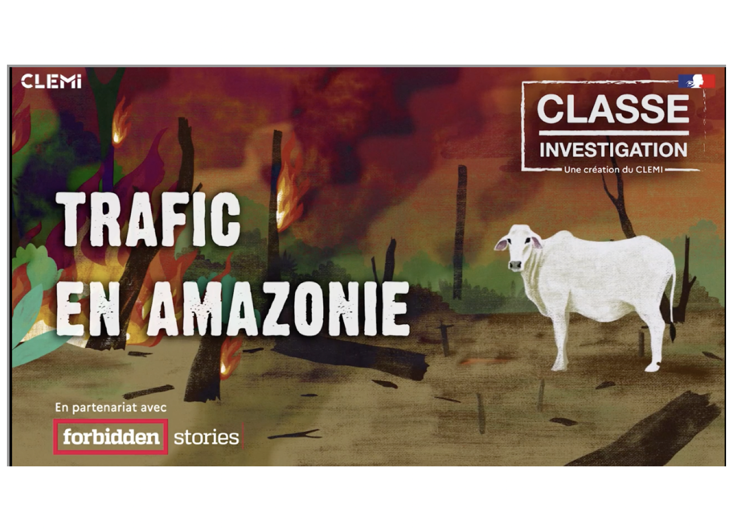 CLEMI Classe Investigation Trafic en Amazonie