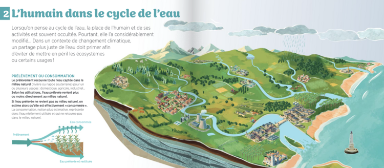 illustration l'eau d'ici - humain dans le cycle de l'eau