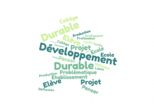 projet_dd.png