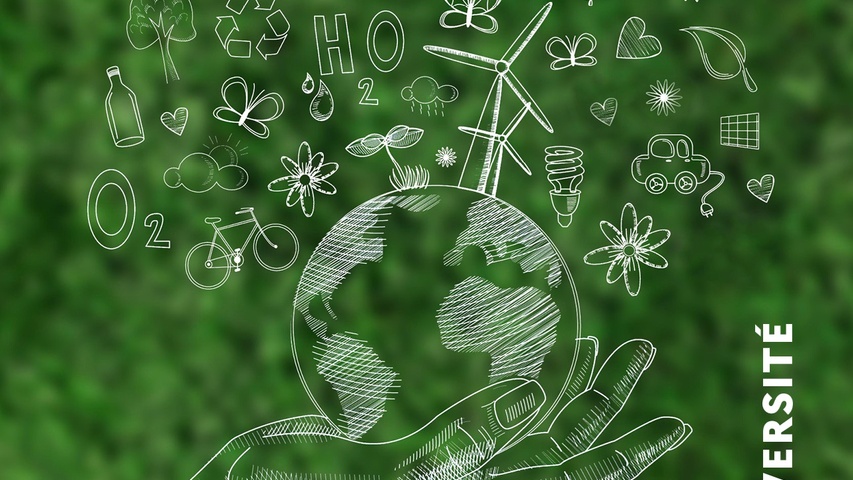 image université EDD 2026