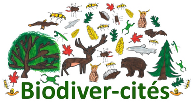 Logo biodiver-cités