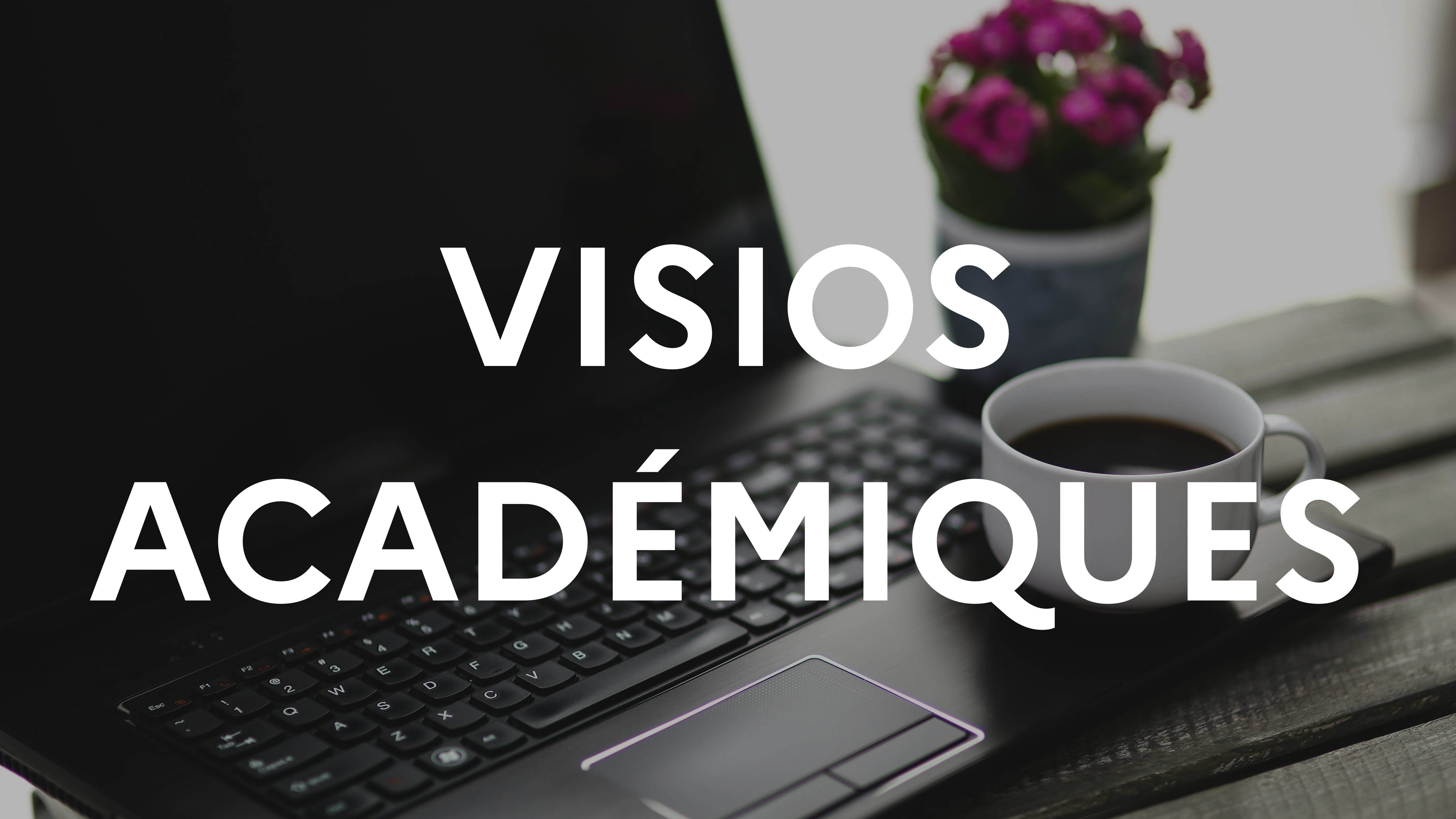 Visios academiques v3