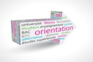 orientation