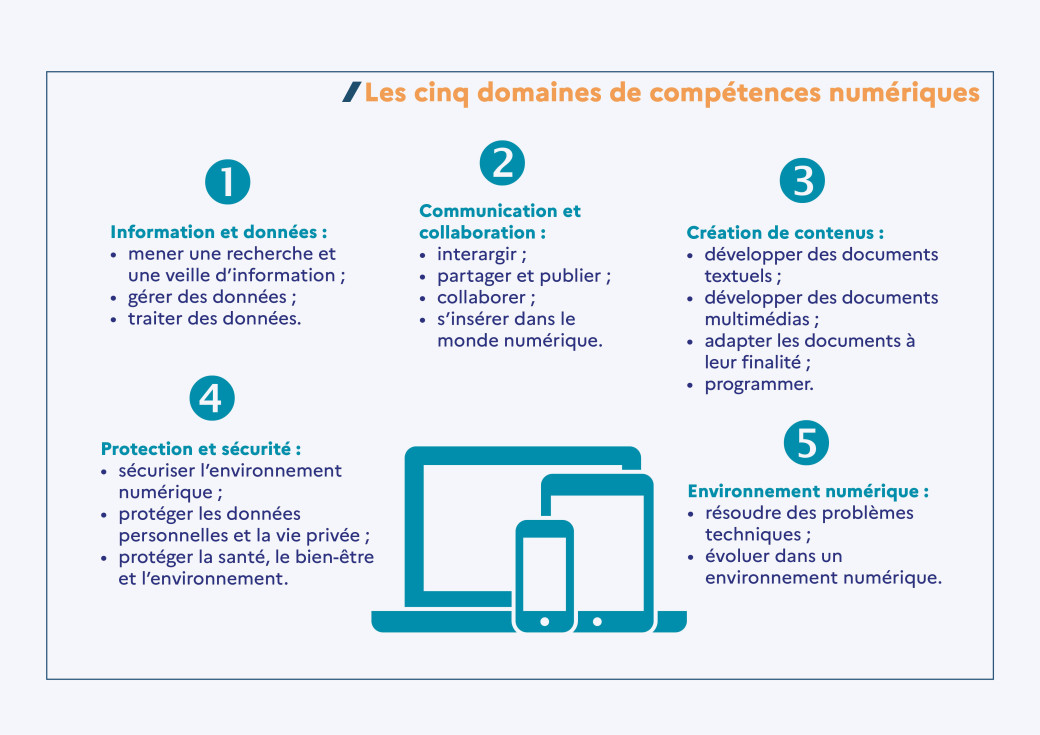 Infographie domaines de compétenes