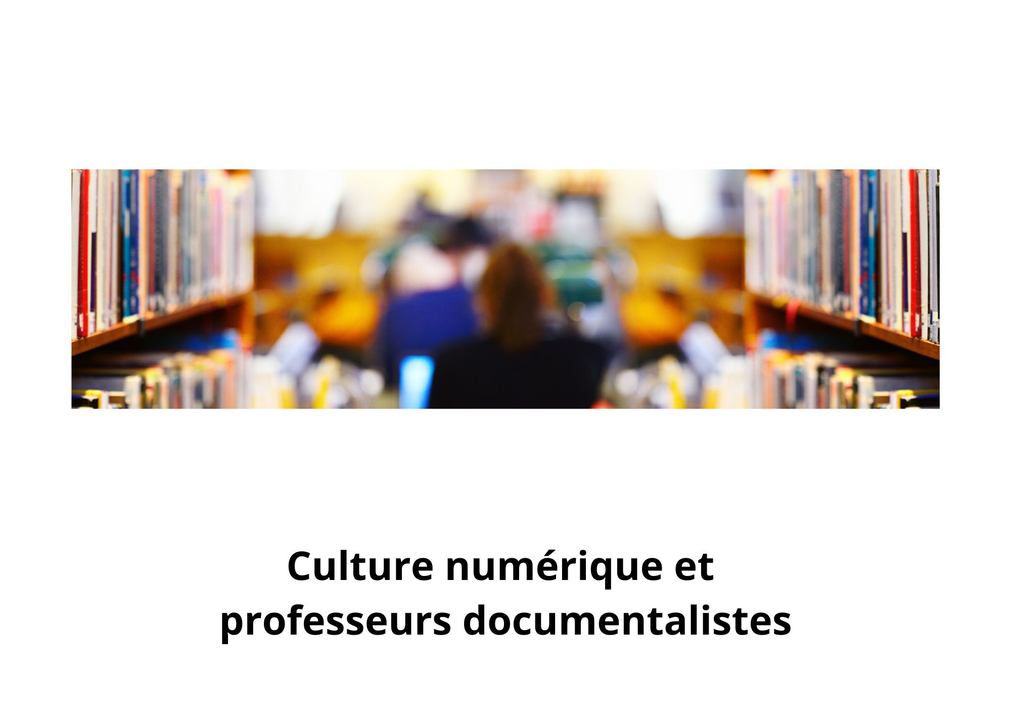 Culture numérique et professeurs documentalistes