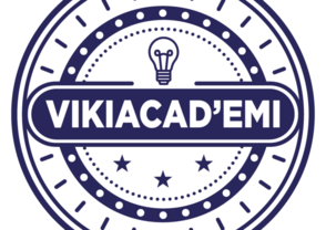 vikiacademi