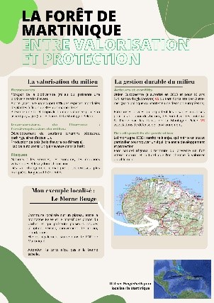 AFFICHE élève forêt Martinique