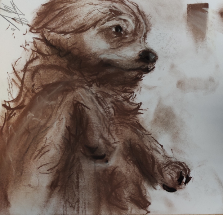 mediation canine1