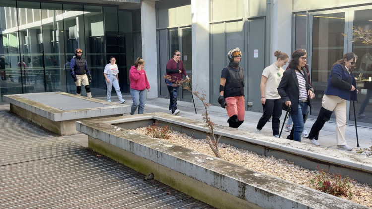 CARDIE - Sensi Handi 8