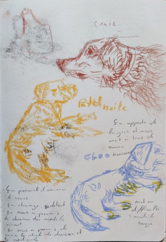 médiation canine2