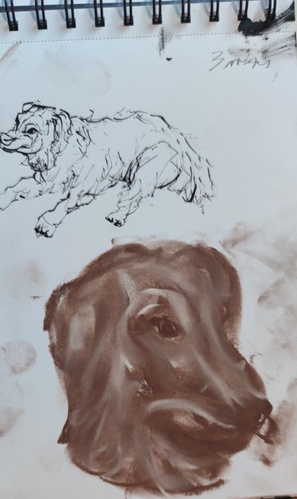 médiation canine4