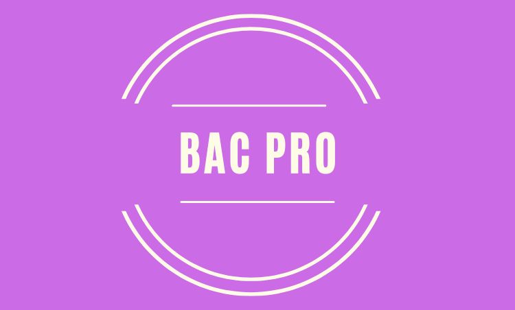 logo bac pro