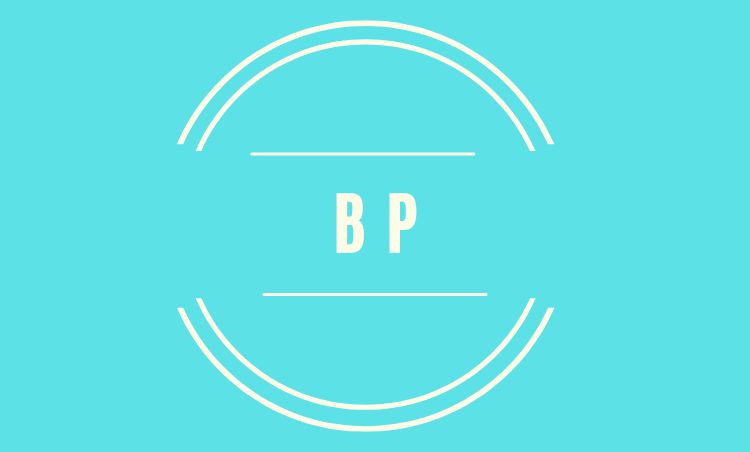 logo brevet professionnnel