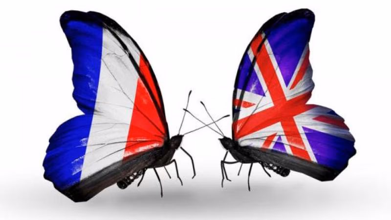 butterflies France and UK flags
