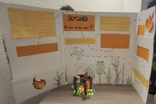 science fair 8