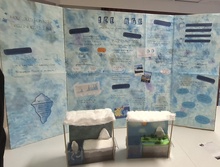science fair 4