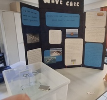 science fair 7