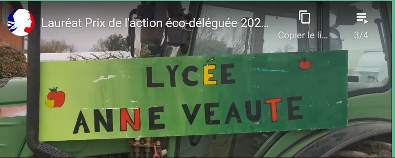 capture Anne Veaute 1