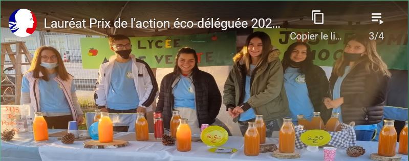 capture Anne Veaute 3